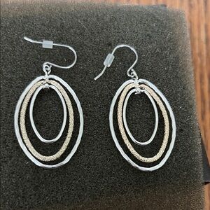 Elegant Silver and Gold Oval Hoop Earrings